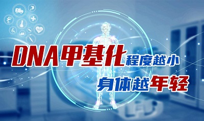 只需8周，年轻3岁？最新研究发现，改变DNA甲基化或能逆转衰老