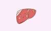 慢性肝炎肝功能异常吃什么药