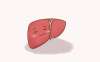 有高血压吃厄贝沙坦片能吃护肝片吗