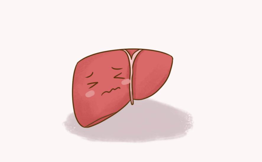 痛风长期吃非布司他的患者需要用护肝片护肝吗