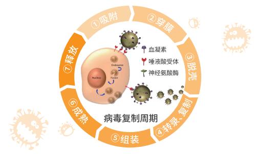 流行性感冒吃什么抗病毒的药？