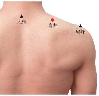 中医外治法和冬病夏治的贴膏科学用法