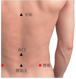 中医外治法和冬病夏治的贴膏科学用法