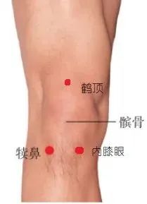 中医外治法和冬病夏治的贴膏科学用法